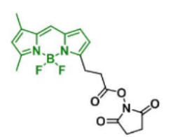 熒光染料BDP FL NHS ester活化酯，CAS:146616-66-2的物化性質及結構式介紹