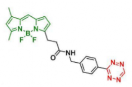熒光染料BDP FL tetrazine/TZ四嗪是什么顏色的？