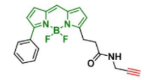 熒光染料BDP R6G alkyne炔基/炔烴，CAS:2006345-31-7的存儲(chǔ)條件及物化參數(shù)