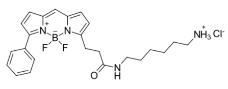熒光染料BDP R6G amine氨基，CAS:2183473-06-3（HCl），2183473-05-2的激發波長是多少？
