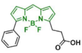 熒光染料BDP R6G carboxylic acid/COOH/羧酸羧基，CAS:174881-57-3的存儲條件及相關(guān)產(chǎn)品