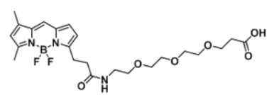 熒光染料BODIPY FL-PEG3-COOH/carboxylic acid/羧基羧酸的激發(fā)發(fā)射波長(zhǎng)及參數(shù)介紹