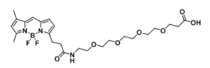 熒光染料BODIPY FL-PEG4-COOH/carboxylic acid/羧基羧酸的產(chǎn)品參數(shù)及相關(guān)產(chǎn)品介紹
