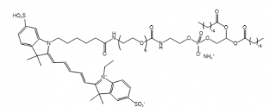 熒光染料Cy5-PEG-DSPE/聚乙二醇-二硬脂酰基磷脂酰乙醇胺的溶解度解析