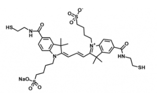 水溶性熒光染料diSulfo-Cy3 bis-Thiol/SH，磺酸基Cy3-二巰基產品參數性質解析
