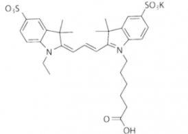 水溶性磺酸基Sulfo-Cy3 carboxylic acid/COOH/羧基羧酸(Ethyl) ，CAS:146368-13-0，Ex/Em(nm) 548/562