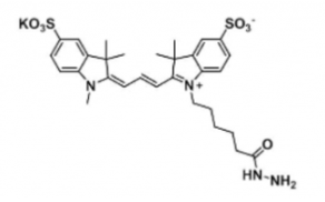 水溶性二磺酸基熒光染料diSulfo-Cy3 hydrazide/N3/疊氮，CAS:2144762-62-7，Ex/Em(nm) 548/563