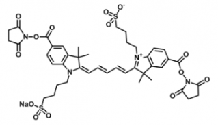 水溶性磺酸基熒光染料diSulfo-Cy5 bis-NHS ester/琥珀酰亞胺活化酯 ，溶解性：溶于water,alcohols, DMSO, DMF