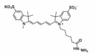 水溶性二磺酸基熒光染料diSulfo-Cy5 hydrazide/N3/疊氮，CAS:2055138-61-7，Ex/Em(nm) 646/662