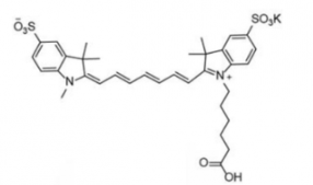 水溶性二磺酸基熒光染料diSulfo-Cy7 carboxylic acid/COOH/羧基羧酸(Methyl甲基)，CAS:1251915-04-4