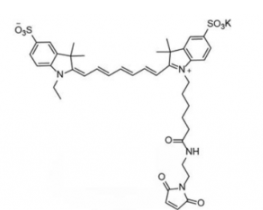 水溶性二磺酸基熒光染料diSulfo-Cy7 maleimide/馬來酰亞胺(Ethyl乙基)，CAS:1422279-40-0，溶于water,alcohols, DMSO, DMF
