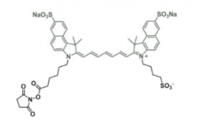 二磺酸水溶性吲哚菁綠disulfo-ICG NHS ester/琥珀酰亞胺活化酯，Ex/Em(nm) 751/830