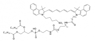 熒光染料ICG-PEG-DSPE，吲哚菁綠-聚乙二醇-磷脂 的溶解度及產(chǎn)品解析