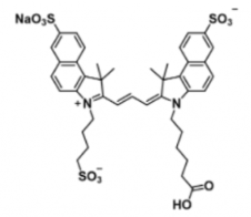 三磺酸基水溶性熒光染料trisulfo-Cy3.5 carboxylic acid/COOH/羧基羧酸，激發發射波長Ex/Em(nm) 585/610