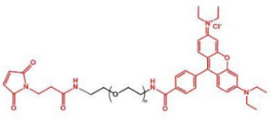 熒光染料羅丹明-聚乙二醇-馬來酰亞胺，Rhodamine-PEG-Maleimide溶解度及結構式解析