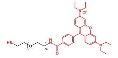 羅丹明聚乙二醇巰基，Rhodamine-PEG-thiol，RB-PEG-SH產(chǎn)品性質(zhì)及結(jié)構(gòu)式解析