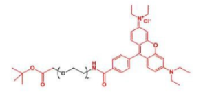 熒光染料羅丹明聚乙二醇叔丁酯，RB-PEG-COOtBu，Rhodamine-PEG-COOtBu