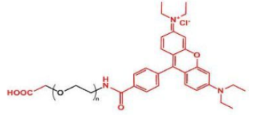 熒光染料羅丹明-聚乙二醇-羧基，Rhodamine-PEG-COOH/carboxylic acid/羧基羧酸產品解析