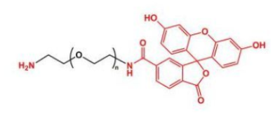 FITC熒光素-聚乙二醇-氨基，FITC-PEG-amine/NH2/氨基 的產品性質解析