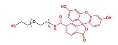 熒光素標記聚乙二醇巰基，FITC-PEG-SH，Thiol-PEG-FITC，Fluorescent-PEG-SH產品解析
