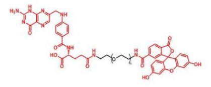 熒光素標記聚乙二醇葉酸，F(xiàn)ITC-PEG-FA，F(xiàn)luorescent-PEG-Folate產(chǎn)品解析及相關產(chǎn)品推薦