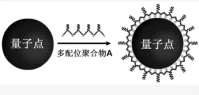 溶性量子點