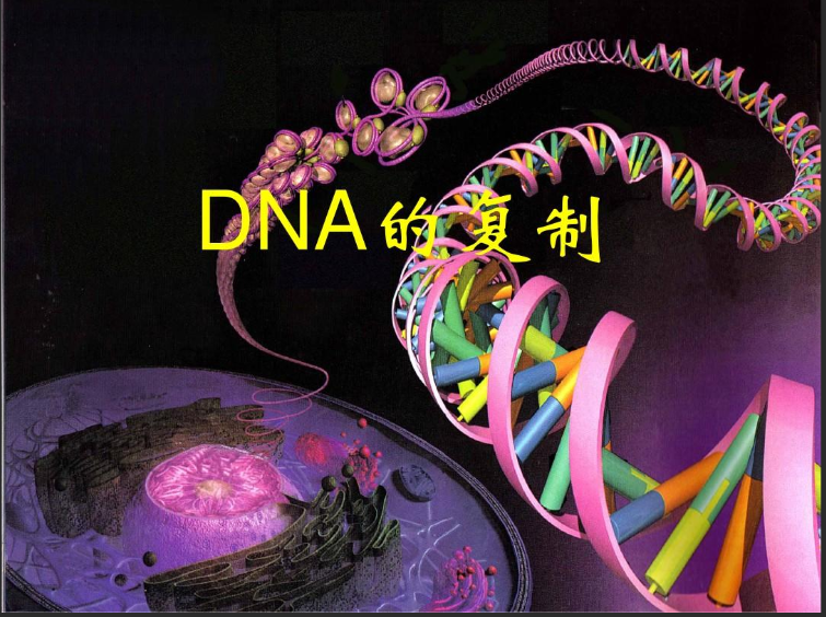 酰基功能化脫氧核糖核酸DNA