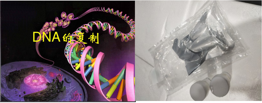 碲化銀Ag2Te量子點包裹脫氧核糖核酸DNA