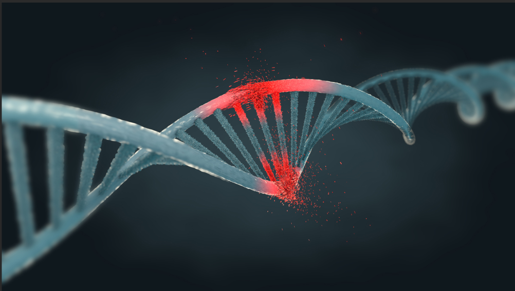 脫氧核糖核酸DNA