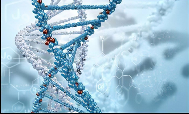 熒光染料CY3偶聯DNA