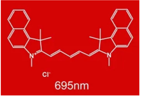 菁染料Cy5.5標記聚合物載藥納米粒