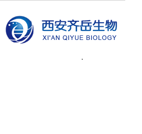西安齊岳