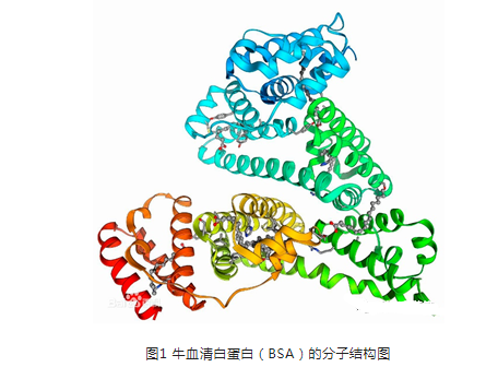 牛血清白蛋白(BSA)納米粒