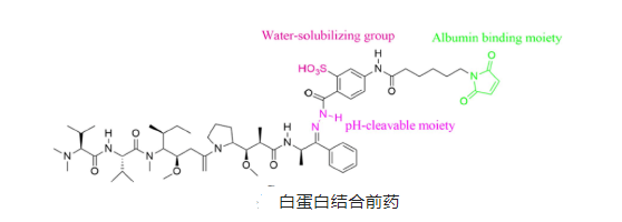 葉酸偶聯(lián)米托蒽醌牛血清白蛋白納米粒