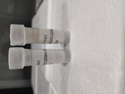 RGD偶聯(lián)吉西他濱牛血清白蛋白納米粒