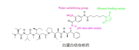 多柔比星牛血清白蛋白納米粒