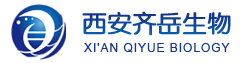 西安齊岳