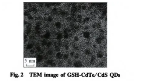 谷胱甘肽 (GSH)修飾CdSe/ZnS量子點