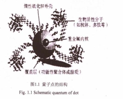 CsPbBr 3量子點溶液