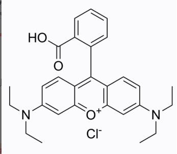 半乳糖-羅丹明B