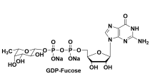 鳥苷 5′-二磷酸-β- L -巖藻糖 鈉鹽 Guanosine 5'-diphospho-fucose
