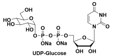 尿苷5'-(三氫二磷酸酯)P'-BETA-D-吡喃葡萄糖基酯鈉鹽，UDP-ALPHA-D-GLUCOSE, DISODIUM SALT