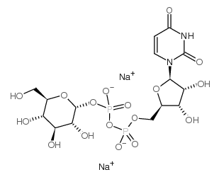 UDP-葡萄糖；尿嘧啶二磷酸葡萄糖；UDP-GLC, NA2；UDP-GLUCOSE DISODIUM SALT