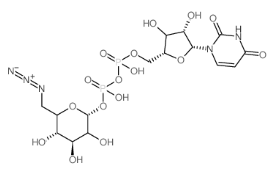 雙磷酸尿苷-6-疊氮-6-脫氧-D-葡糖酯,CAS:537039-67-1，UDP-6-N3-Glucose