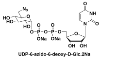 雙磷酸尿苷-6-疊氮-6-脫氧-D-葡糖酯，Uridine 5’-diphospho-6-azido-6-deoxy-D-glucose disodium salt