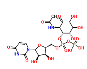 UDP-GALNAC，疊氮修飾N-乙酰半乳糖胺，7277-98-7