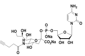5'-單磷酸胞苷修飾疊氮糖，CMP-C9-Azido-Sialic Acid