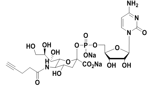 炔基修飾的CMP-唾液酸，CMP-C5-alkynyl-Sialic Acid 