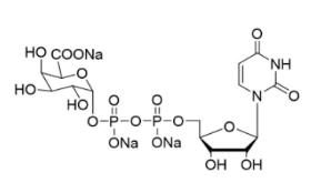尿苷二磷酸修飾半乳糖醛酸三鈉鹽，UDP-a-D-galacturonidetrisodiemsalt