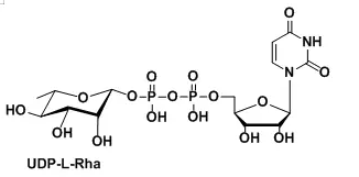 尿苷二磷酸修飾鼠李糖，Uridine diphosphate rhamnose，Uridine5'-(trihydrogendiphosphate),P'-(6-deoxy-β-L-mannopyranosyl)ester